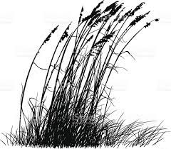 Vector Silhouette Illustration Of Beach Grass Blowing In The Wind Grass Silhouette Grass Painting Beach Grass