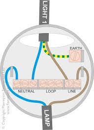 Multiple Lights From A Single Switch In 2021 Lights Electrical Switch Wiring Home Electrical Wiring