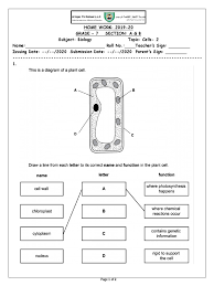 If we want to learn about plant structure and function, we have to start with the smallest components, and those would be plant cells. Grade 7 Biology Cells Cells 2 Pdf Pdf