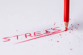 The movie wasn't as good as we had expected. Syllables And Stress Patterns In English Word Stress Sentence Stress