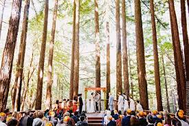 Amphitheatre Of The Redwoods Pema Osel Ling Santa Cruz Mountains Www Polmountainr Santa Cruz Mountains Wedding Wedding San Francisco Redwood Forest Wedding