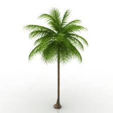 Download 3d Palm 3d Visualization Palm Clip Art