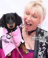 Nick Bonanni's Instagram, Twitter & Facebook