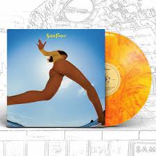 Maybe you would like to learn more about one of these? Hayley Williams Flowers For Vases Descansos Banquet Records