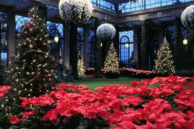 Page Not Found Longwood Gardens Christmas Christmas Lights Outside Beautiful Gardens