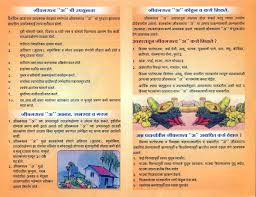 Vitamins Chart Pdf In Marathi Bedowntowndaytona Com