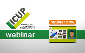 Talk to the squire and she well send you by boat to the void knight outpost, which has conveniences such as a bank, magic shop, anvil, and a friendly. Register Now For The First Icup Webinar On 9 March 2021 Pest Control News