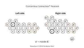 55 Rigorous Button Accordion Notes Chart