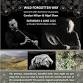 Carolyn Hillyer and Nigel Shaw Concert at Chalice Well
