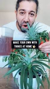 Roxanne Horner's Instagram, Twitter & Facebook