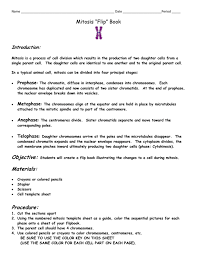 Check spelling or type a new query. Mitosis Flip Book