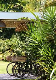 We did not find results for: The Touristin Ultimate Byron Bay Travel Guide For First Time Visitors