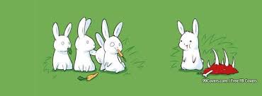 Members of the animal kingdom, besides us, of course, can be extremely expressive. Bunnies Bunny Funny Animal Animals Facebook Cover Photos
