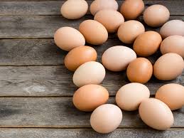 Image result for egg