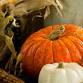 Halloween at Montalto event image