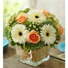 Maybe you would like to learn more about one of these? Conroy S Long Beach Local Florist Long Beach Ca
