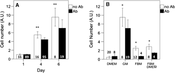 Serum free media in animal cell culture. Serum Free Media For The Growth Of Primary Bovine Myoblasts Springerlink