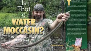 They have various bands of color on the body and the face with a white belly. Is That A Water Moccasin Or Just A Harmless Water Snake By Chester Moore Texas Fish Game Magazine
