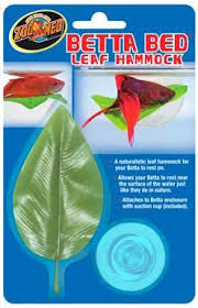 Toys For Betta Fish Betta Fish Betta Betta Fish Care