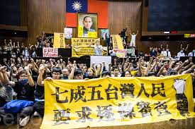 Image result for 太陽花反服貿學運