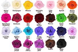 Dried flowers are a trending floral decor that will never go out of style! Preserved Roses Wholesale Real Roses Red Rose Infinity Rose Eternal Roses Preserved Flowers Dried Flowers Floral Supplies Dried Roses Long Lasting Rose Infinity Roses Floral Crafts Wedding Buy Online In Netherlands At