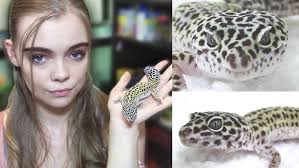 Leopard Gecko Care Video