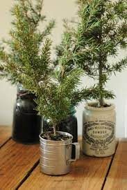 Pin On Winter Christmas