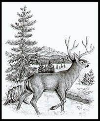 A beginner's guide to burning by layer for beautiful results (fox chapel publishing) woodburning textured, lifelike scenes in layers, with lora s. Image Result For Free Printable Wood Burning Patterns Wood Carving Patterns Wood Burning Stencils Wood Burning Patterns