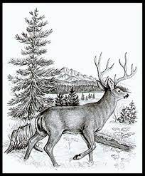 See more ideas about wood burning patterns, wood burning, wood burning stencils. Image Result For Free Printable Wood Burning Patterns Wood Carving Patterns Wood Burning Stencils Wood Burning Patterns