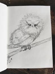 Sketch Bird Of Paradise Drawing Another 5 Minute Sketch Fluffy Little Baby Owl Br Copyrighted Material Please Credit When Sharing Br Br Kindre Owl Sketch Bird Drawings Owls Drawing