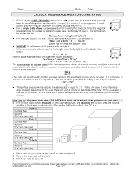 Surface Area To Volume Ratio Cells Worksheet Google Search Volume Worksheets Ap Biology Biology