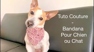 Peu importe la taille de votre chien, il peut être à la mode ! Tuto Diy Facile Coudre Un Bandana Pour Chien Ou Chat Youtube