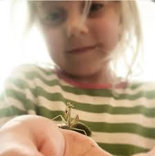 What are some ideas for a bug-themed party or activity for a child?