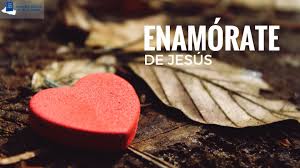bible
