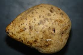 But you will get a boost of 1. Sweet Potato Scurf Treatment How To Control Scurf On A Sweet Potato Plant