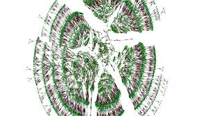 How to draw a family tree part 2 advanced youtube. V8j S Oqblemym