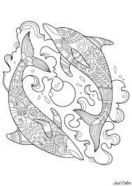 Funny Dolphins Coloring Page Whale Coloring Pages Dolphin Coloring Pages Batman Coloring Pages