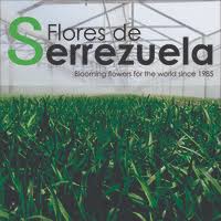 The island of flores has deep valleys and high peaks, lagoons bordered by hydrangeas, cliffs carved. Flores De Serrezuela S A S Linkedin