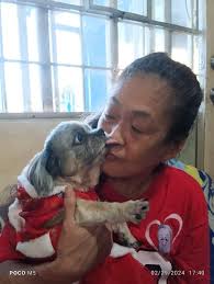 A dog is the only thing that can mend a crack in your broken heart." Thanks  Leslie for sharing Laddie Boy's photo with us!