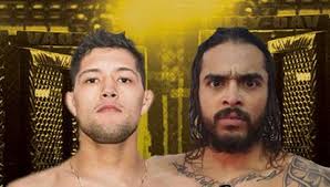 ▷ MMA Videos & Streams February 2021