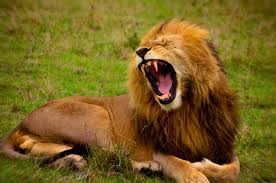 Is not very natural in french either: Les 14 Sons Anglais Qui N Existent Pas En Francais Prononciation Anglaise