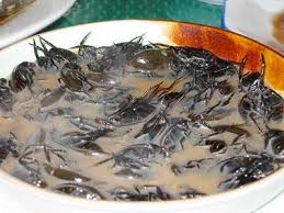 Maybe you would like to learn more about one of these? Disgusting Food Home Facebook