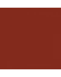 Image result for Russet Sunfire 1977 Chrysler