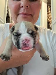 everyone this little boy is a week old