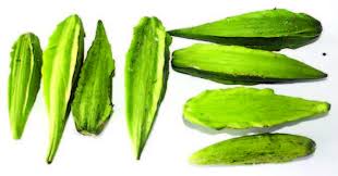 Kapa çeneni çeneni kapa kapa şu çeneni kapa lanet çeneni. Kapas Kapas An Indigenous Vegetable Agriculture Monthly