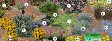 Cette vigoureuse plante d'amérique centrale fait fureur dans les jardins de style naturel. Epingle Sur Jardin Massif