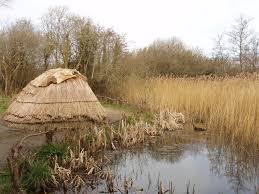 With that being said, we can confidently say that the old version will line up together with the new version of this flooring product. Mesolithic Wikipedia