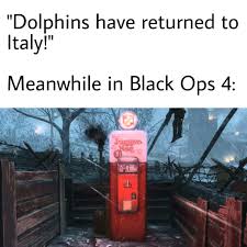 Reach For It The Dolphins Have Returned To Italy Nature Is Healing Know Your Meme