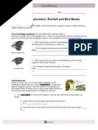 Learn vocabulary, terms and more with flashcards, games and other study tools. Rainfall Bird Beaks Se Natural Selection Rain