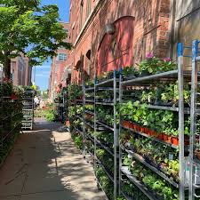 Boston market is a recognised tourist attraction in its' own right; Boston Flower Market Flower Shop In South End